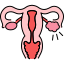 Urological Cancers treatment